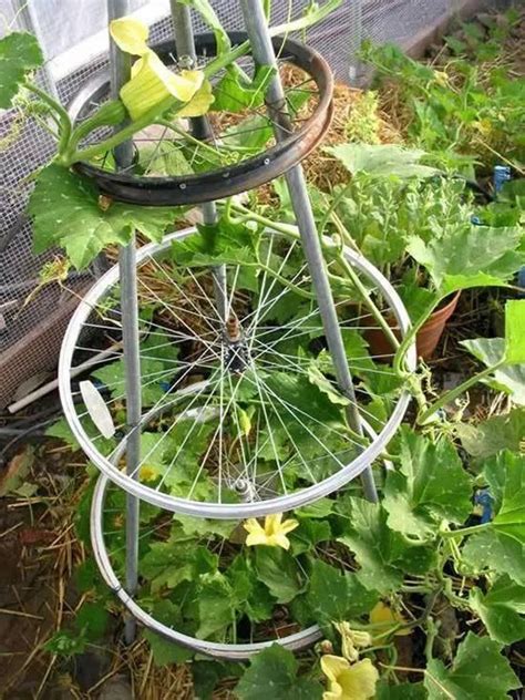 It certainly seems like it could be indestructible! Wonderful DIY trellises for climbing plants | My desired ...