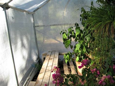 Maybe you would like to learn more about one of these? Build Your Own Greenhouse | Build a greenhouse, Garden seeds, Plants
