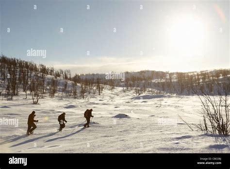 Cross Country Skiers Walking In Snow Stock Photo Alamy