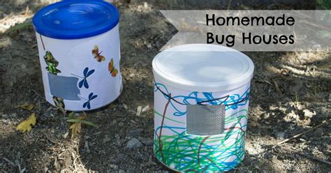 Homemade Bug Houses