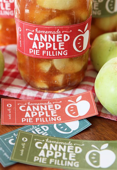 Homemade apple pie filling is simply the best. Homemade Apple Pie Filling Recipe - Skip to my Lou