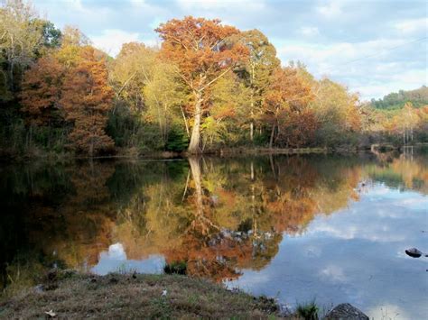 We did not find results for: VacationRentals411.com: Broken Bow, Oklahoma: Thunderbird ...