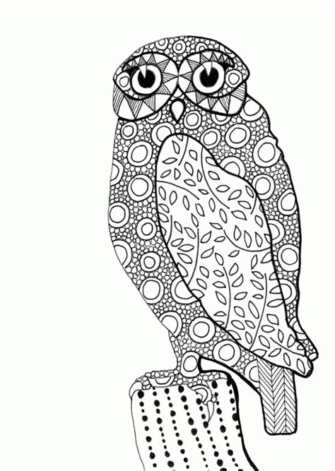Coloring Owls Ideas
