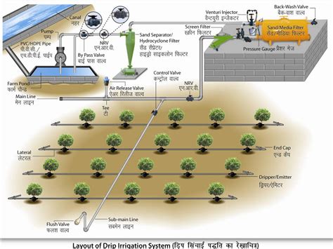 Major Components And Layout Of Drip Irrigation System 1001 Artificial