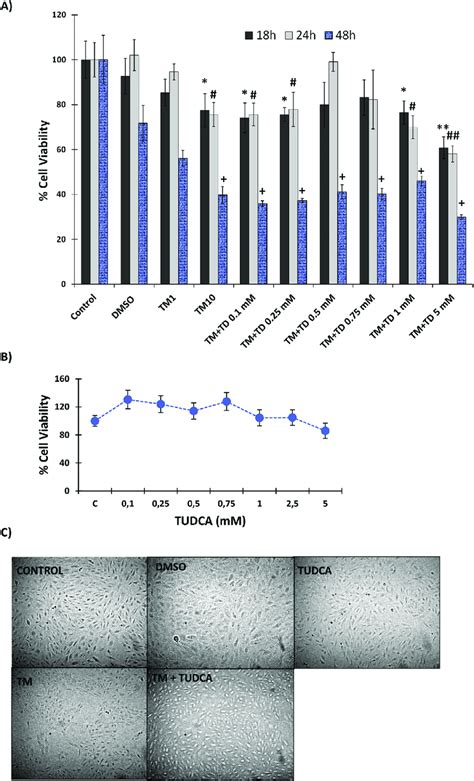 Legend Cell Viability Analysis A Cell Viability Assessed By Mtt