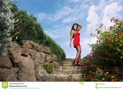 Seductive Woman In Red Dress Stock Image Image Of Happy Apparel