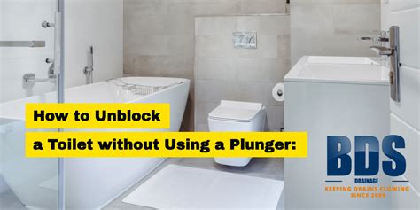 How To Unblock A Toilet Without Plunger Bds Drainage