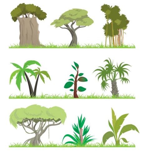 How To Draw A Rainforest Tree Step By Step This Step By Step Tutorial