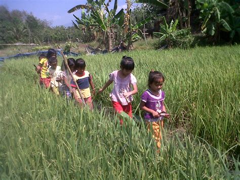 Libur Anak Anak Bermain Di Sawah Harian Semarang Education