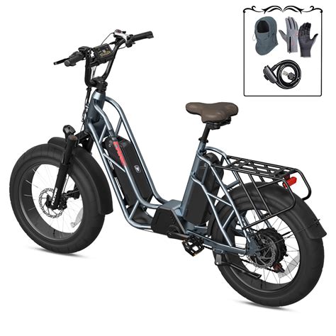 Mua Fucare Electric Bike Geminigemini X Electric Bike For Adults750w