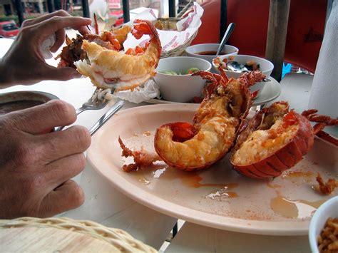 The 10 Best Lobster Restaurants In Maine