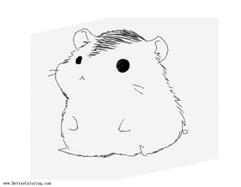 Simple Hamster Coloring Pages Free Printable Coloring Pages