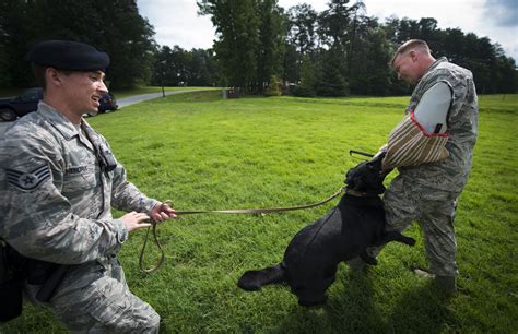 K 9 Handlers Pursuing The Enemy Joint Base Andrews Article Display