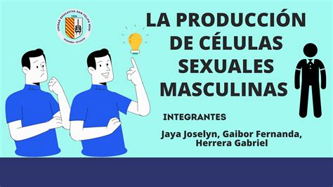 la producción de células sexuales masculinas by gaibor ramos marlÉn fernanda issuu