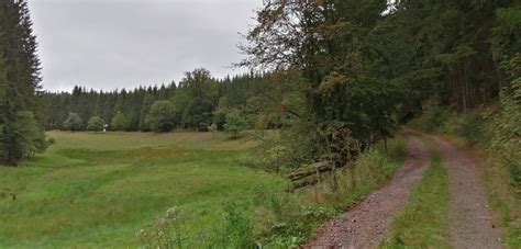 Herauszufinden, welche gemeinsamen kontakte sie haben. Wandern: 421. Tambach Dietharz zur Geheimen Quelle mit ...