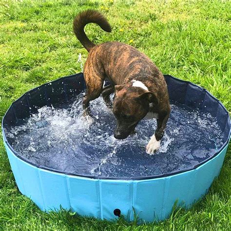 Foldable Portable Dog Pool Collapsible Pet Bathing Tub Kiddie Pool For