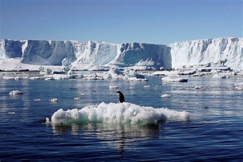 Planet In Crisis Melting Ice Caps Zero Waste Lifestyle System