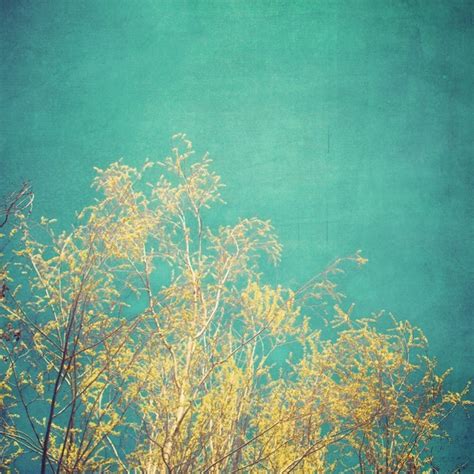 Vibrant Treetop Fine Art Photograph Turquoise Teal
