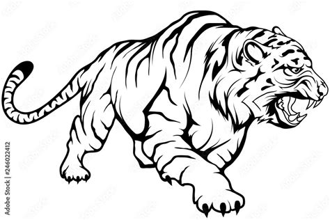 Tiger Vector Drawing Tiger Drawing Sketch In Full Growth Crouching