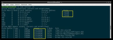 How To Use Netstat Command In Linux To Check A Specific Port Linux Hint