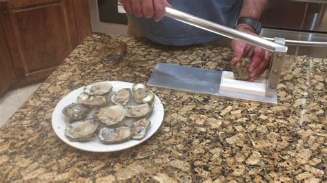Shucking An Oyster With Easy To Use Oyster Shucker Youtube