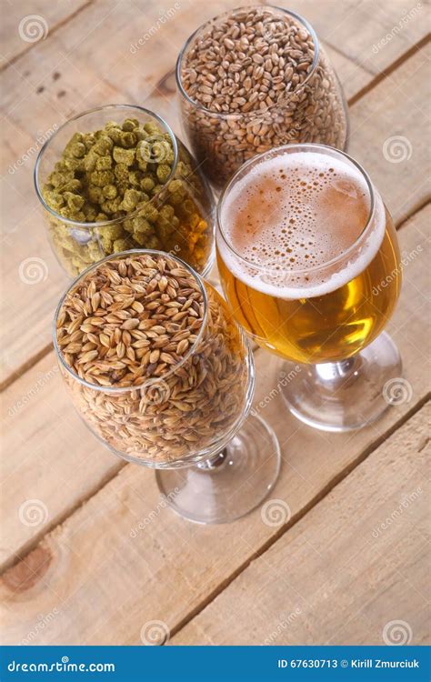 Light Beer And Ingredients Stock Image Image Of Recipe 67630713
