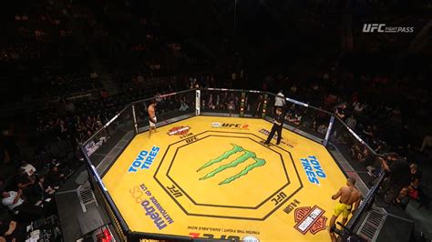 Octagon kampfsportclub aadress pärit viini mariahilfer str 111, 1060 austria. Ultimate Fighting Championship - Wikipedia