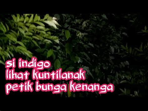 2 ship citations (0 free) in 2 resources. 🔴Cerita indigo // lihat kuntilanak petik bunga kenanga ...