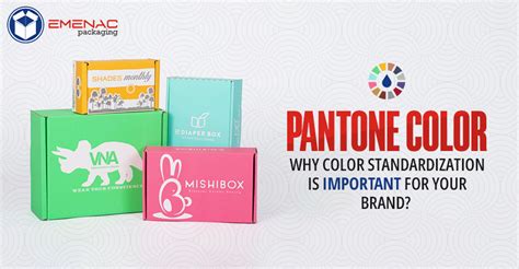 Pantone Color Why Color Standardization Is Important For Your Brand