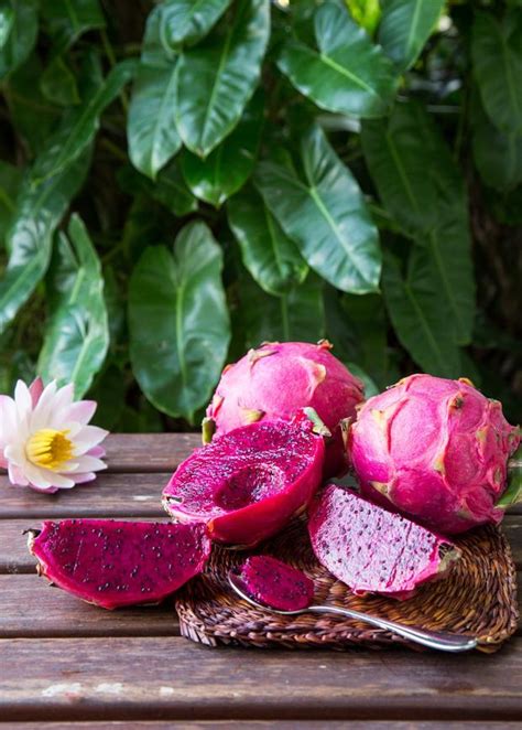 The fruit is spherical, red colored with notable scales. Sow Exotic | Red Dragon Fruit Fresh Fruit Box