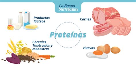 Conoce Los Alimentos Que Contienen Proteínas La Buena Nutrición