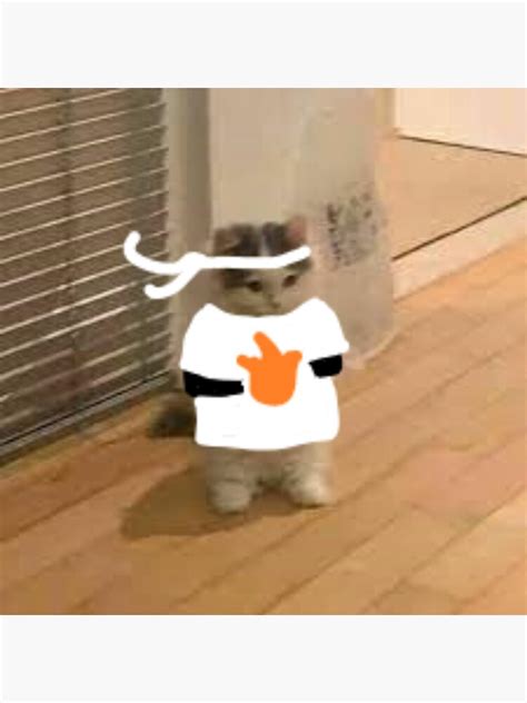 Sapnap Standing Cat Meme Sticker By Ghnguyen Redbubble