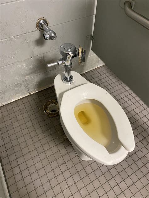 some asshole took a piss in the toilet i pulled when i went to grab parts scrolller
