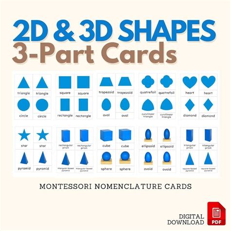 Montessori 2d 3d Shapes Three Part Cards Montessori Nomenclature 3 Part