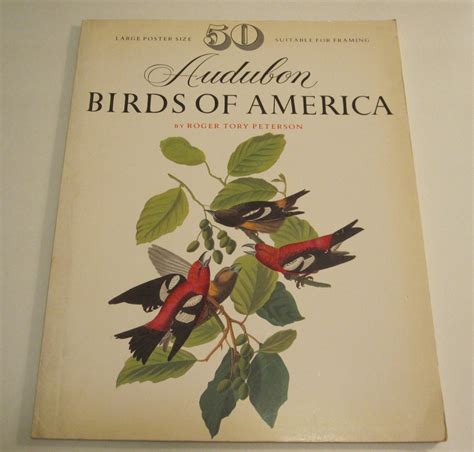 Audubon Birds Of America Coffee Table Book