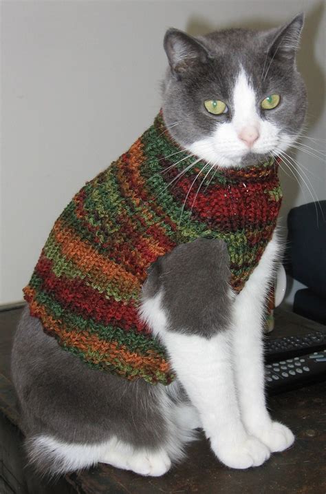 Cat Vest Cat Sweater Knitting Pattern Cat Sweaters Cat Sweater Pattern