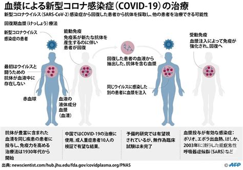 図解新型コロナウイルス感染症COVID 19治療薬の探究 写真4枚 国際ニュースAFPBB News