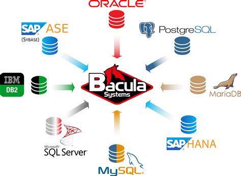 Database backup software solutions and tools
