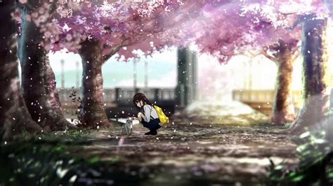 I Want To Eat Your Pancreas Anime Film To Hit Big Screen