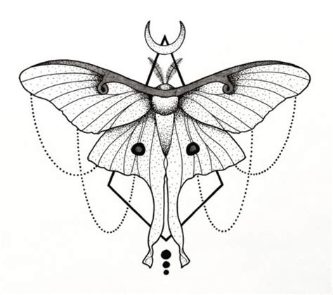 Related Image Lunar Moth Tattoo Moth Drawing Moth Tattoo