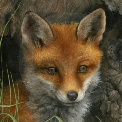 Wildlife Paintings By Carl Whitfield Cuded Wildlife Paintings
