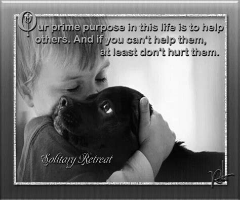 Animals and plants etc will volunteer to come there with us. Yes...this goes for animals AND humans. In the end, only kindness matters. | Dog quotes, Animal ...