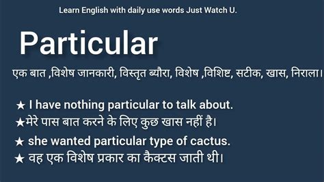 Particular Meaning In Hindi Particular Ka Arth Particular Ka Matlab