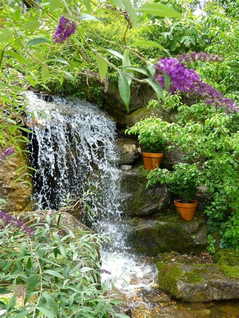 Check out jim scott's spectacular garden on the banks of lake martin. The Jim Scott Garden, a Secret Paradise - Deb's Garden ...