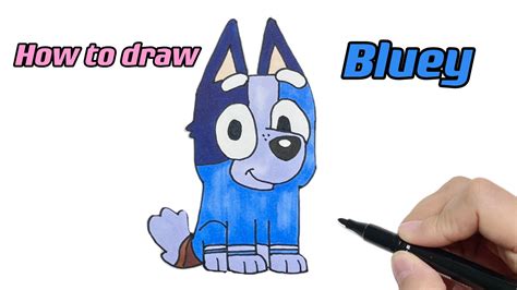 How To Draw Bluey Heeler With Colorful Markers Bluey Easy And Fun