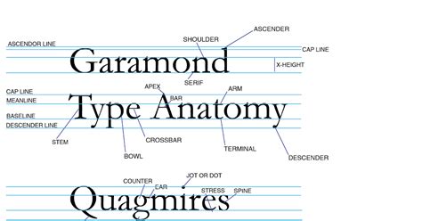 Zpirnot Typography Type Anatomy Chart