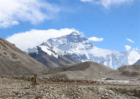 Rongbuk Monastery And Everest Base Camp Audley Travel Us