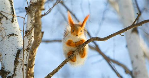 15 Of The Most Beautiful Photos From National Geographic Trendfrenzy