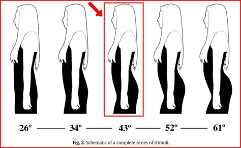 Female Submissive Body Language