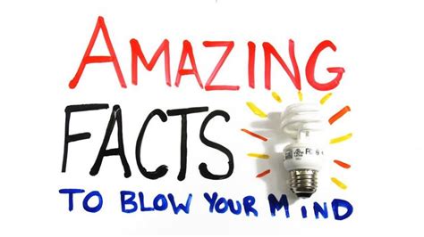 10 Mind Blowing Amazing Facts About Human Brain Reckon Talk